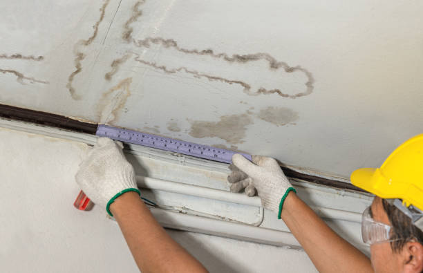 Reliable Burst Pipe Cleanup contractor in Paris, IL by Water Damage Irwin